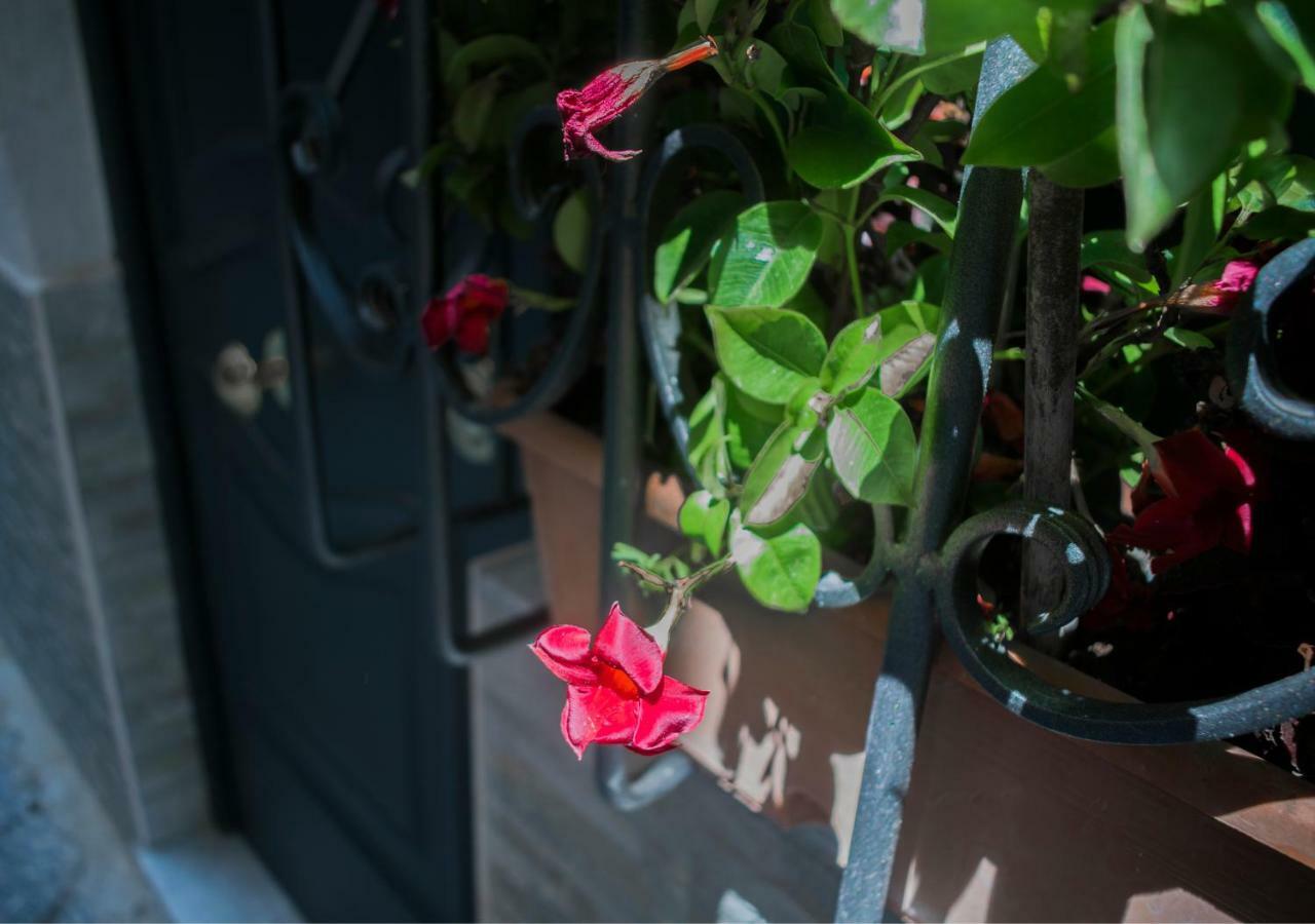 Vecchia Napoli Apt 20 외부 사진